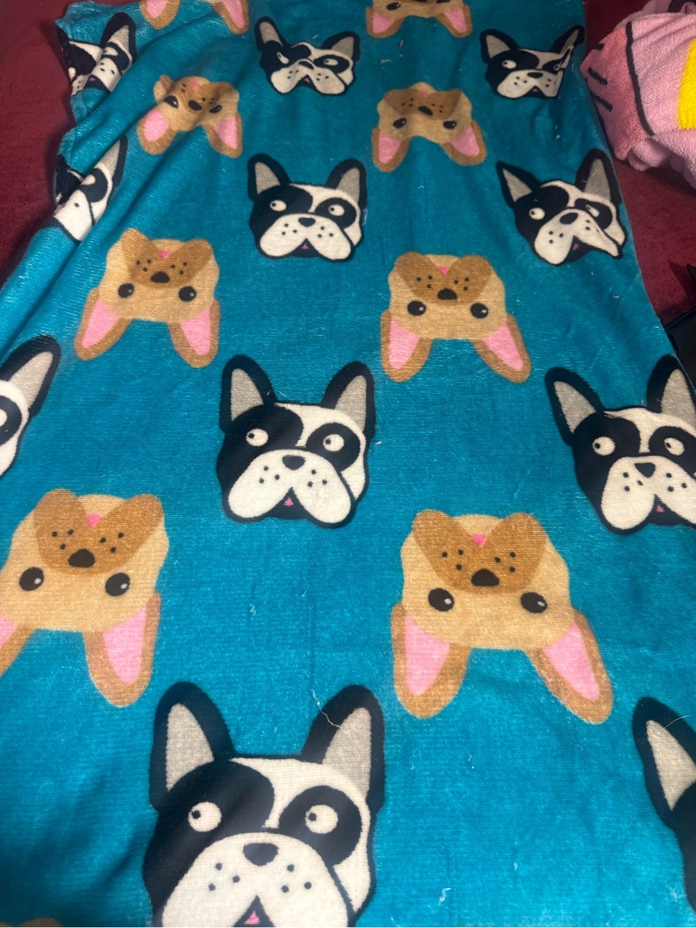 Othr Teal Kids Puppy Face Pajama Set with Pink & Tan Accents